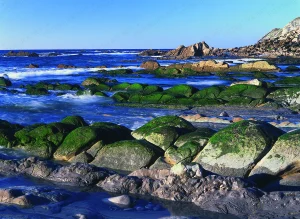 Playa Barrika, Spanyolország