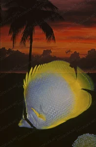 1992-B-K. Karibi kártya
