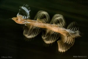 0022963